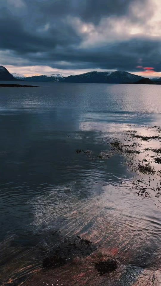 TikTok video thumbnail by hoppihavet0