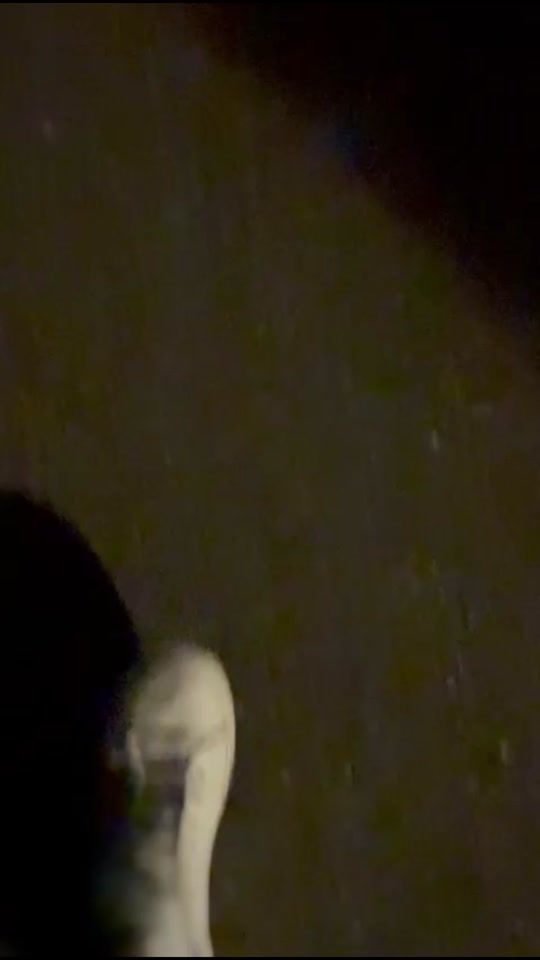 TikTok video thumbnail by e92zilla