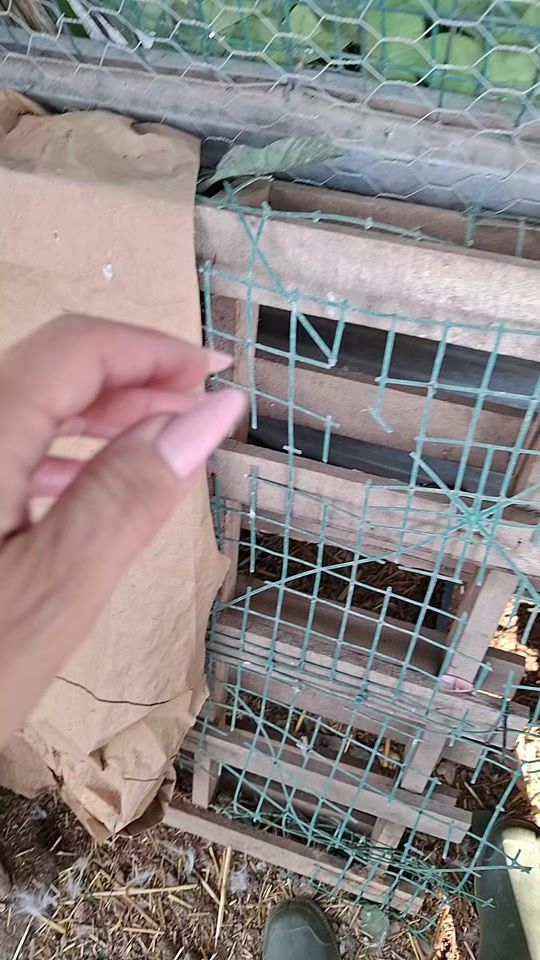 TikTok video thumbnail by annamaria.73