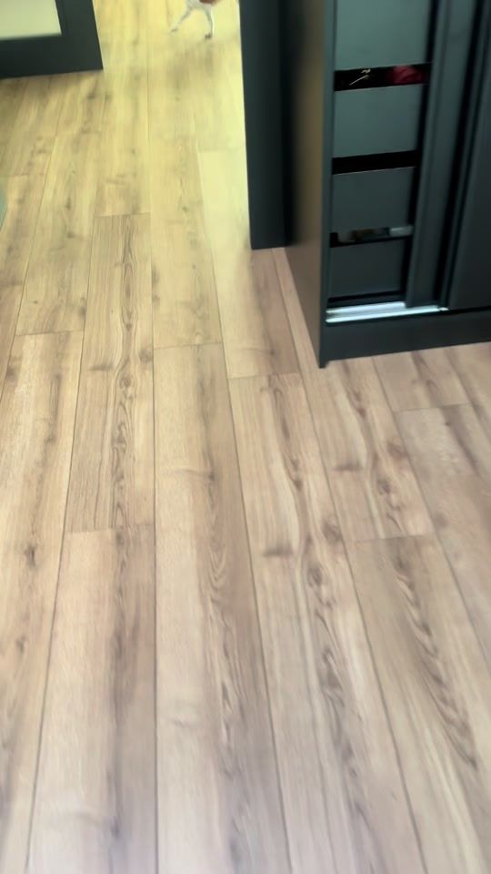 TikTok video thumbnail by metodidimitrovdim