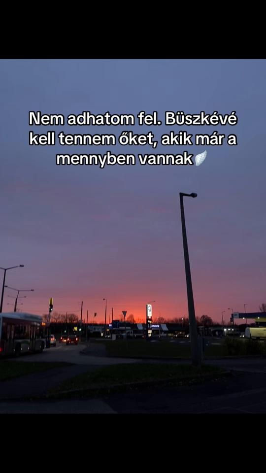TikTok video thumbnail by __.gondolatok._