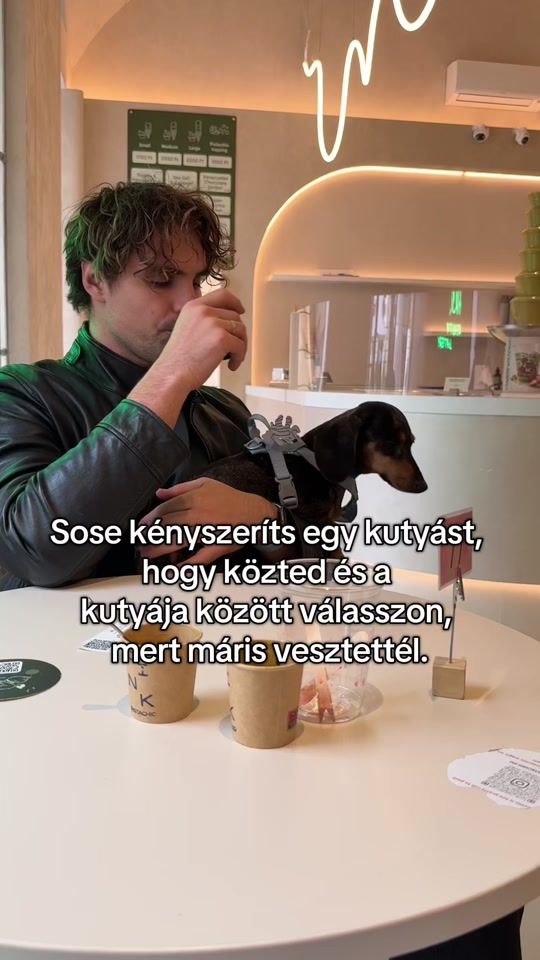 TikTok video thumbnail by 2blackdogsview