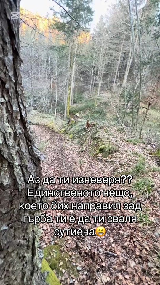 TikTok video thumbnail by t_dimitrow777
