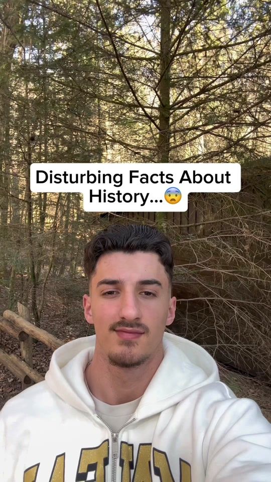 TikTok video thumbnail by compilationeveryday
