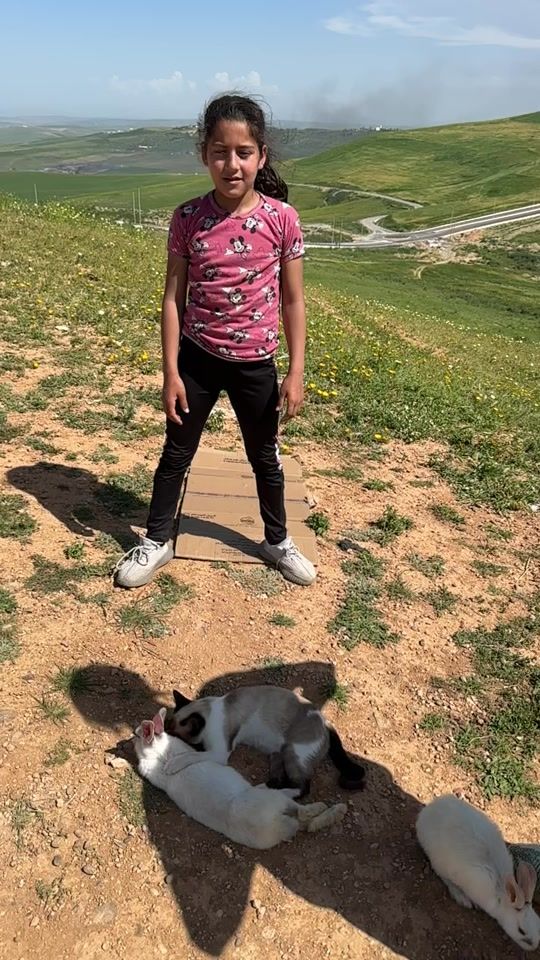 TikTok video thumbnail by said.abouchi