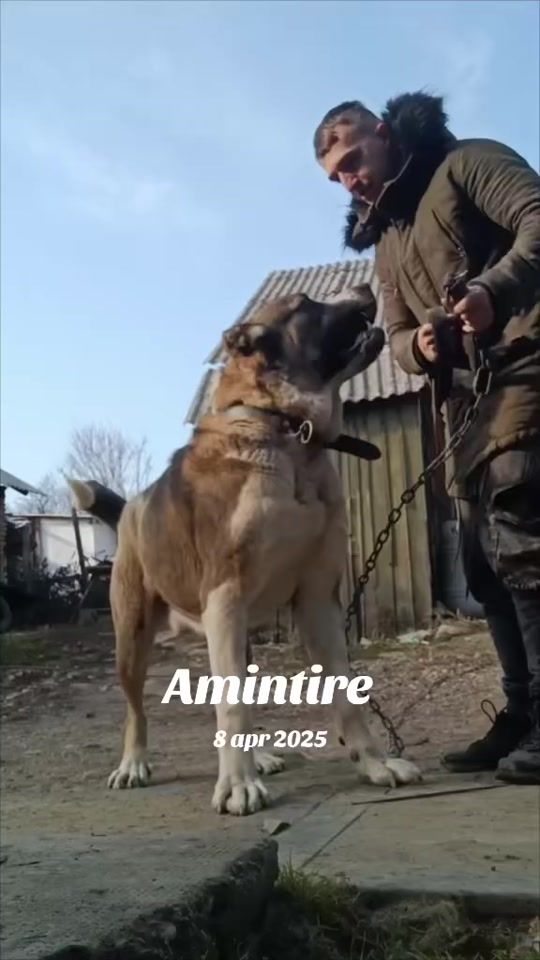 TikTok video thumbnail by pop_cornel3
