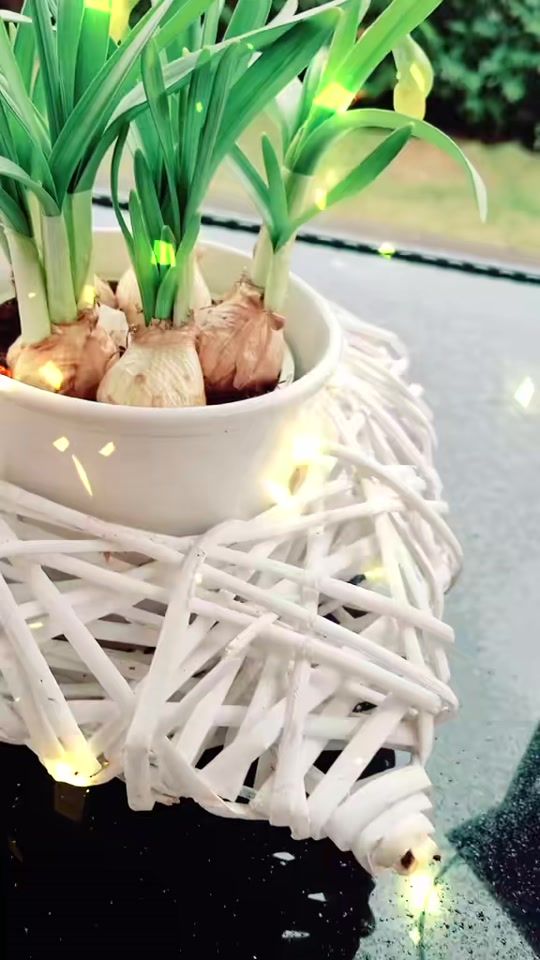 TikTok video thumbnail by bodyandspirit