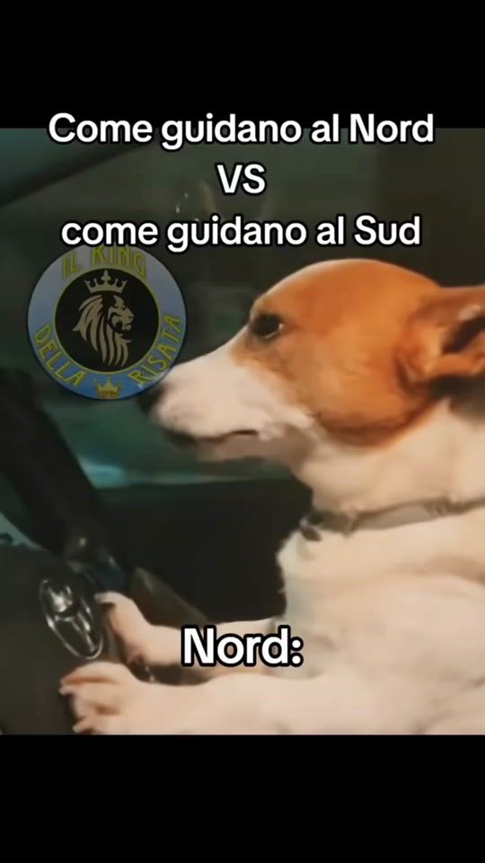 TikTok video thumbnail by spaccio..caramelle