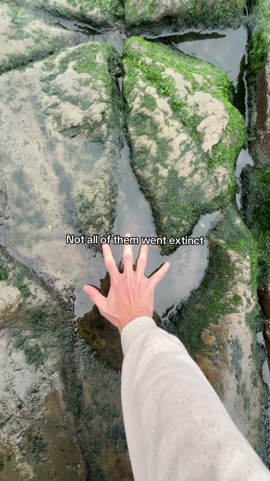 TikTok video thumbnail by jjrheams