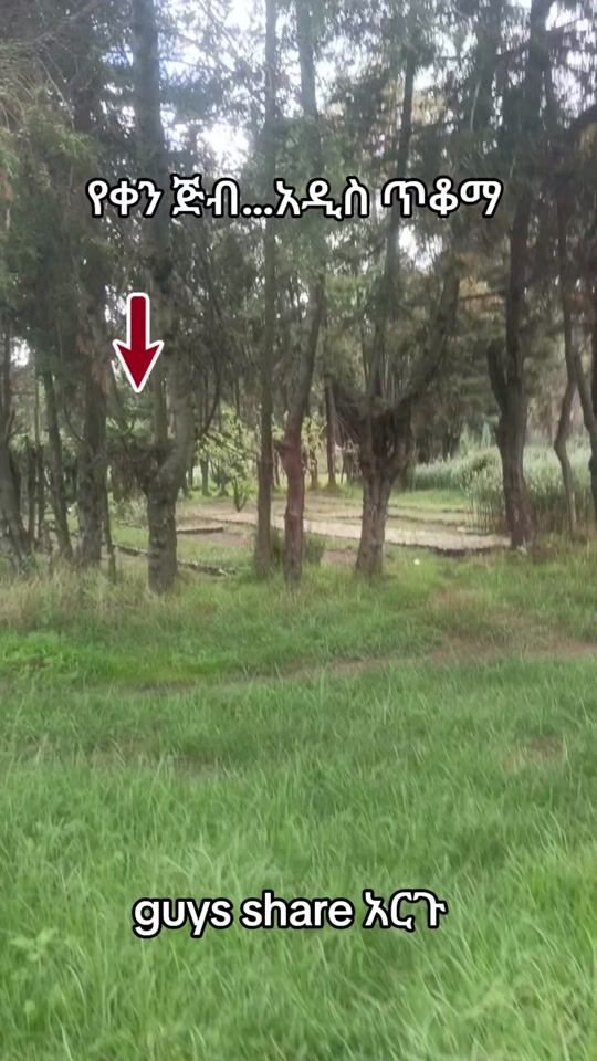 TikTok video thumbnail by dagilalaaa