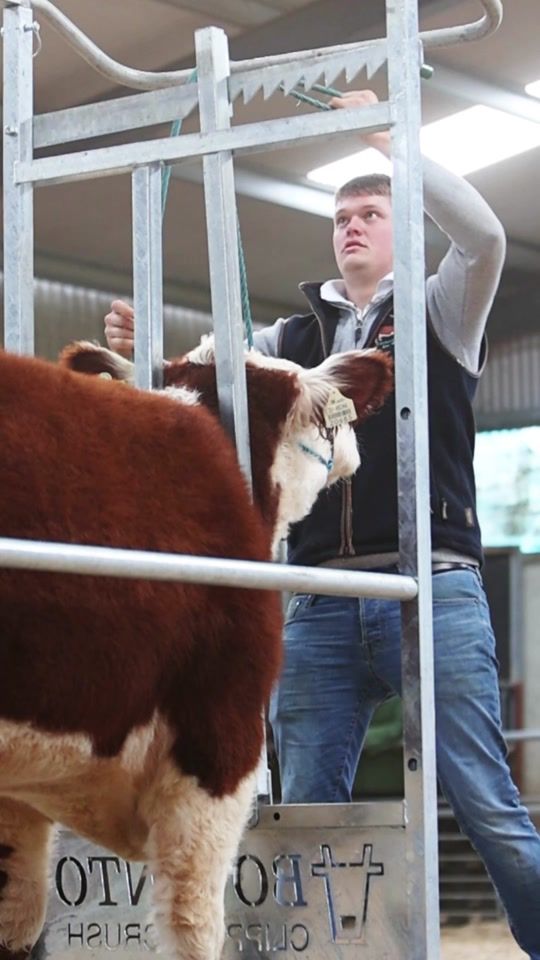 TikTok video thumbnail by agrishowclips
