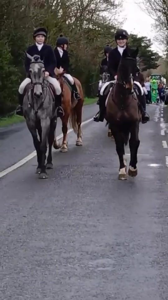 TikTok video thumbnail by northkerryharriers