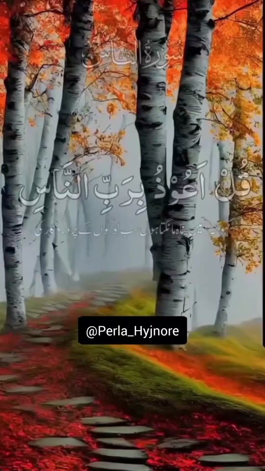 TikTok video thumbnail by perla_hyjnore