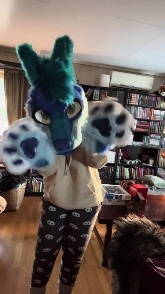 TikTok video thumbnail by fetchpuppy
