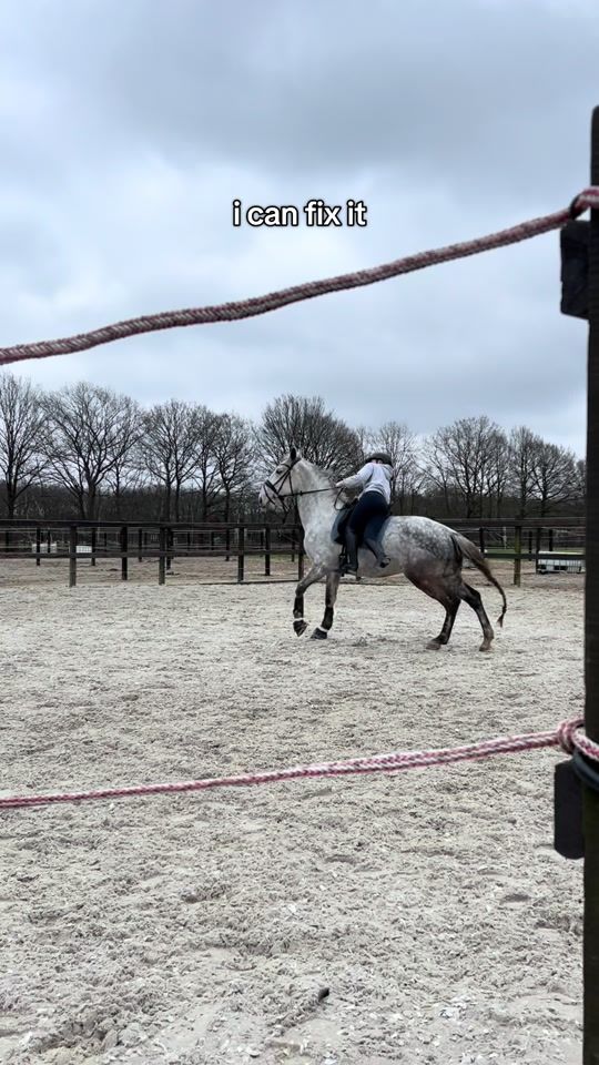 TikTok video thumbnail by daisy_horselife
