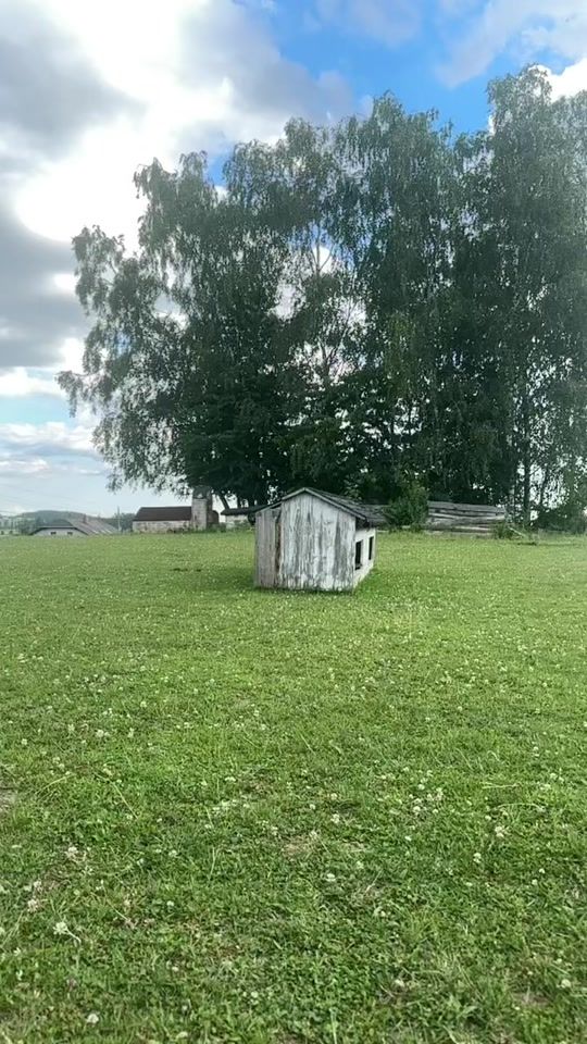TikTok video thumbnail by miri.sclll