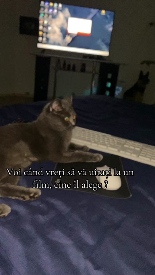 TikTok video thumbnail by nicoleta_zana