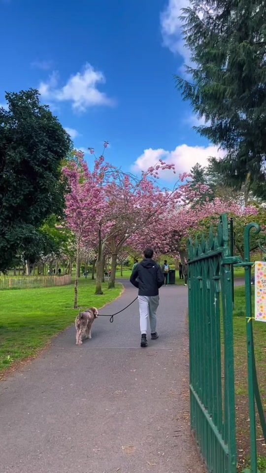 TikTok video thumbnail by traveltimesglobal