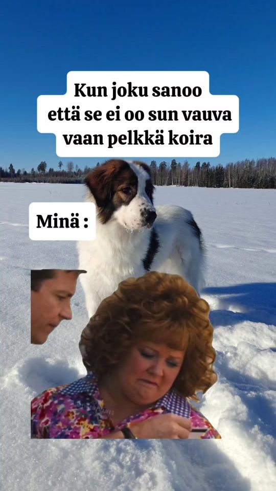 TikTok video thumbnail by jenitasolonen