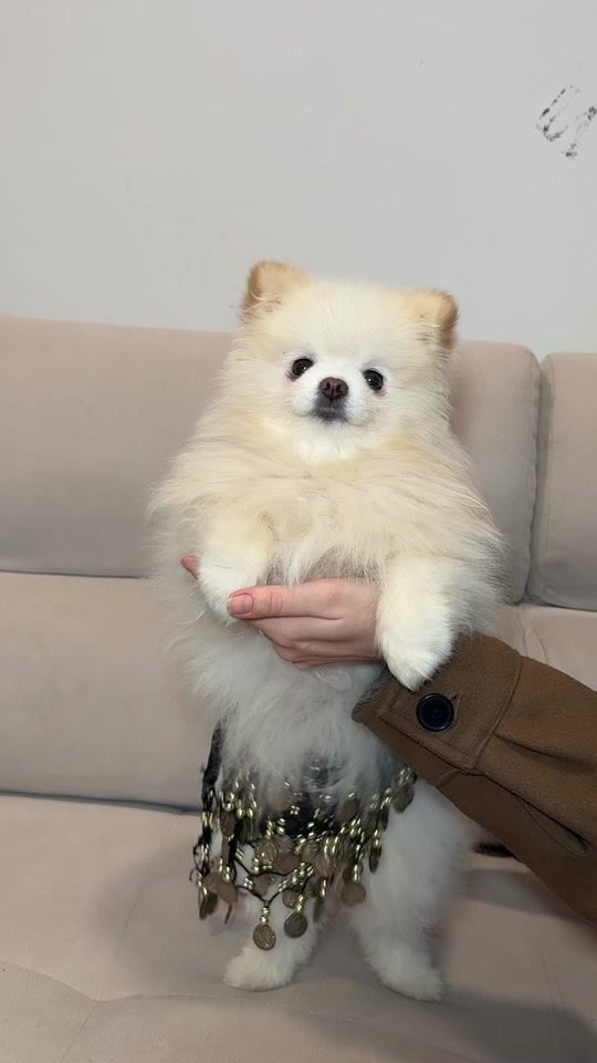 TikTok video thumbnail by ipekfam