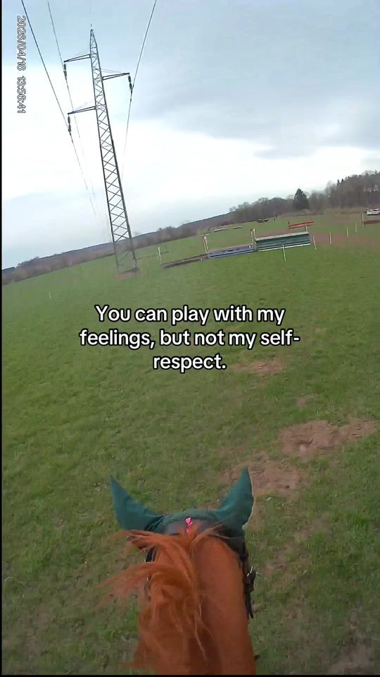 TikTok video thumbnail by showjumper1