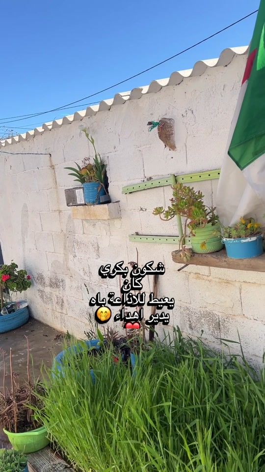 TikTok video thumbnail by mawada1280