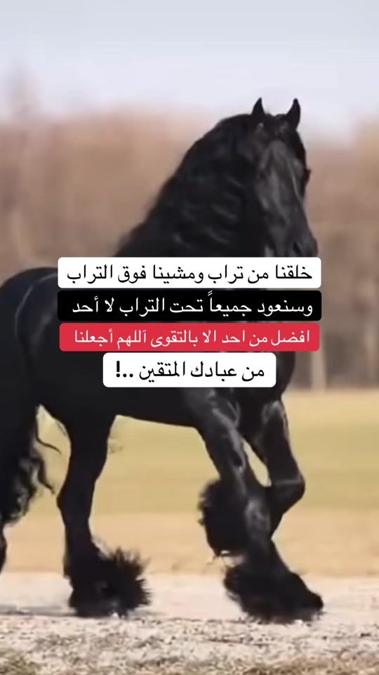 TikTok video thumbnail by nisrino444