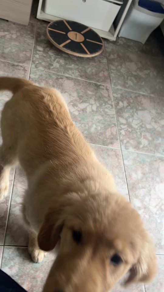 TikTok video thumbnail by dory_lesploratrice