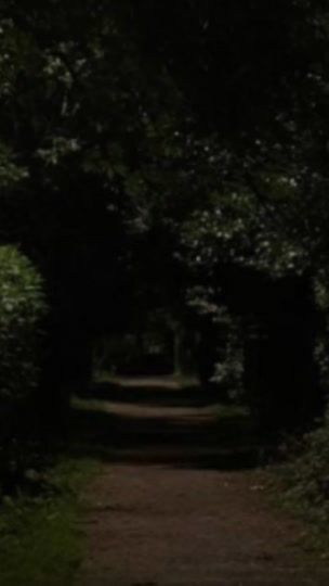TikTok video thumbnail by llyrww