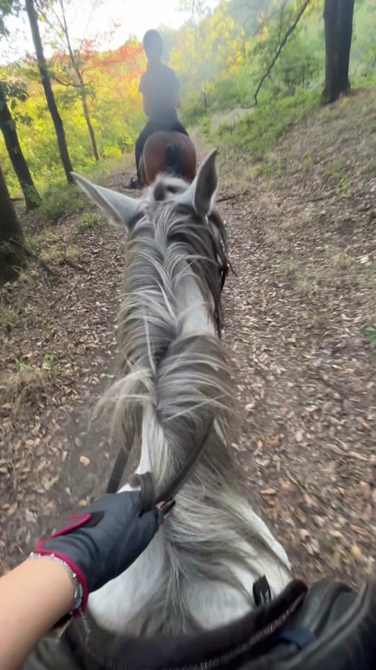 TikTok video thumbnail by mariag.eq