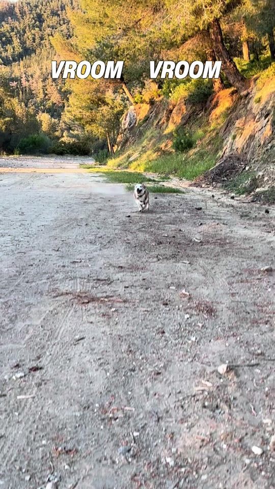 TikTok video thumbnail by bianca.vroom