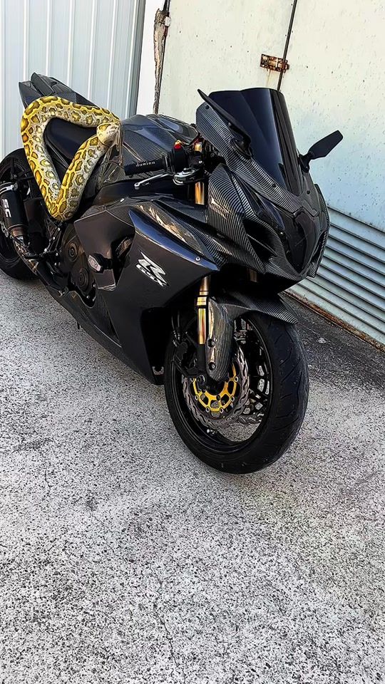TikTok video thumbnail by black.mamba.rider