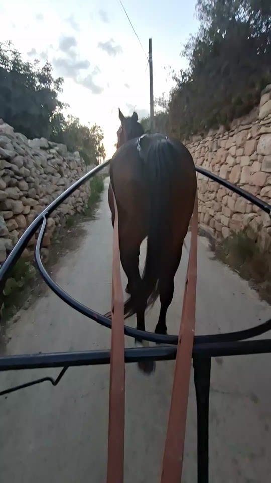 TikTok video thumbnail by juorgenportelli