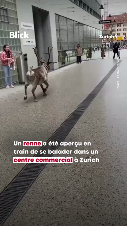 TikTok video thumbnail by blick_media