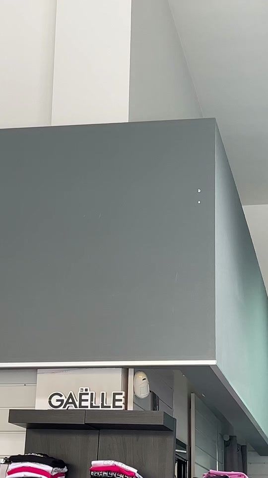 TikTok video thumbnail by cammaratamode