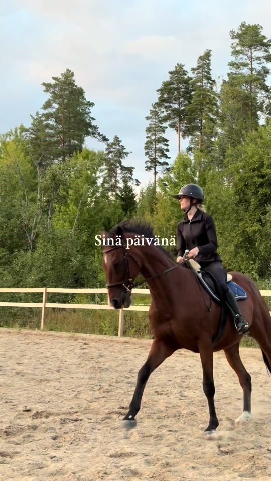 TikTok video thumbnail by showjumping_neaa