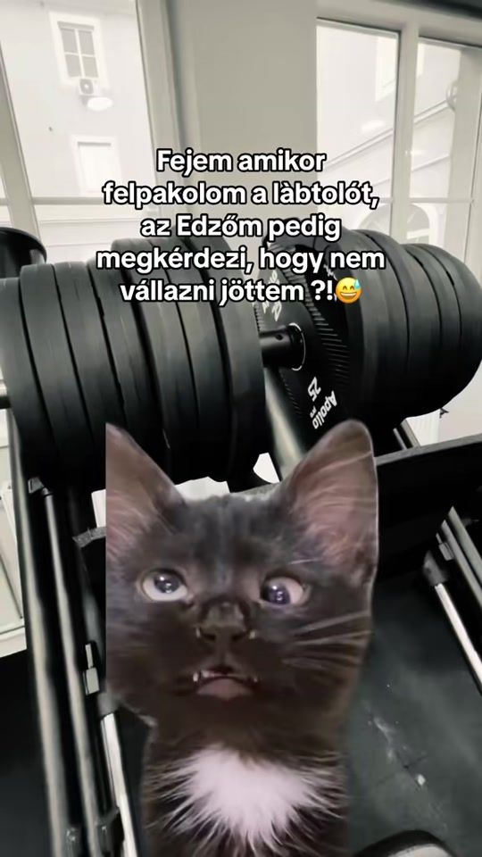 TikTok video thumbnail by monyacska