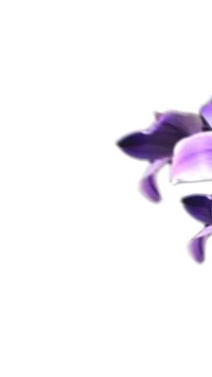 TikTok video thumbnail by moon_lyric_