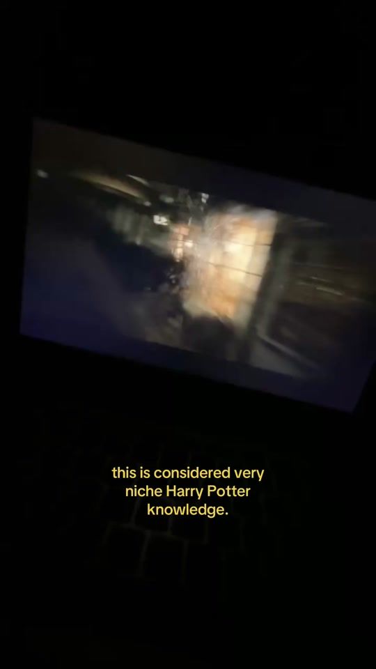 TikTok video thumbnail by potterhds_