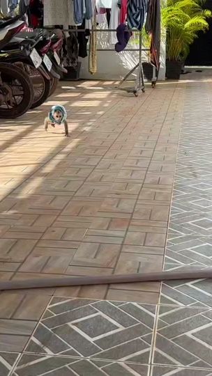 TikTok video thumbnail by mr.monkey.eng