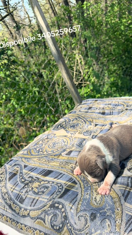 TikTok video thumbnail by cudatony72