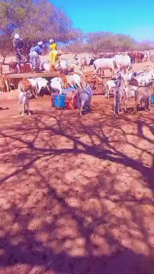 TikTok video thumbnail by abass.abagar