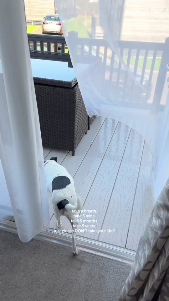 TikTok video thumbnail by mollymayrendle