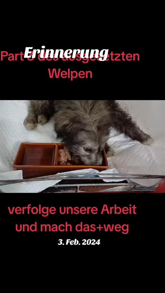 TikTok video thumbnail by tanjakaupp