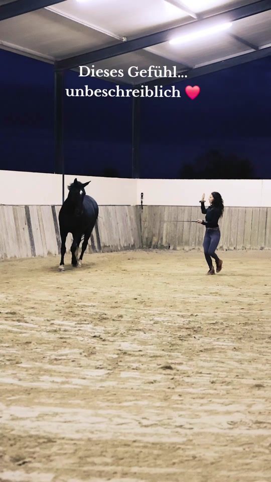 TikTok video thumbnail by nativehorses_official