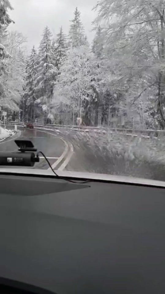 TikTok video thumbnail by ciprianconstantin19