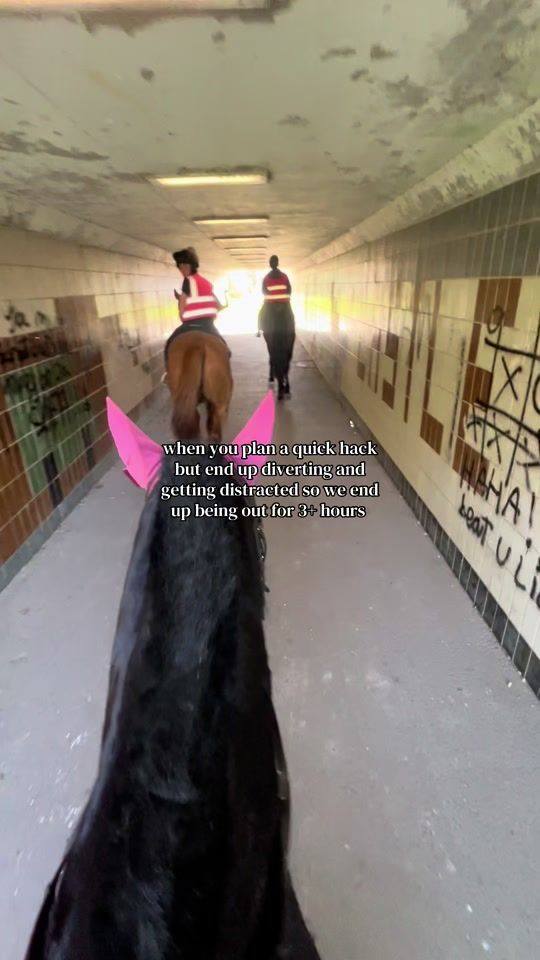 TikTok video thumbnail by equi.faithh