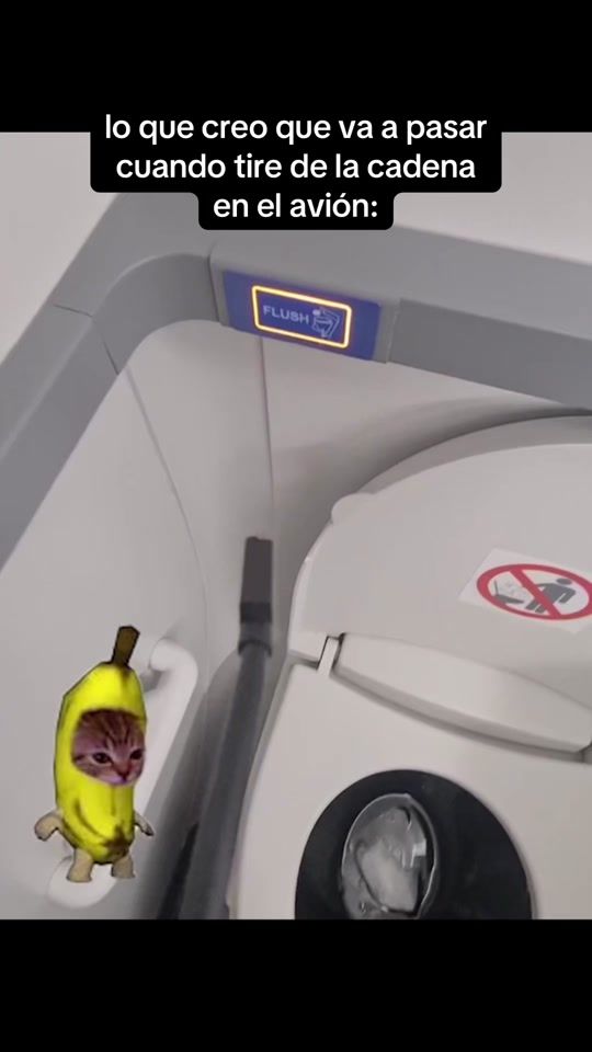 TikTok video thumbnail by ryanair_es