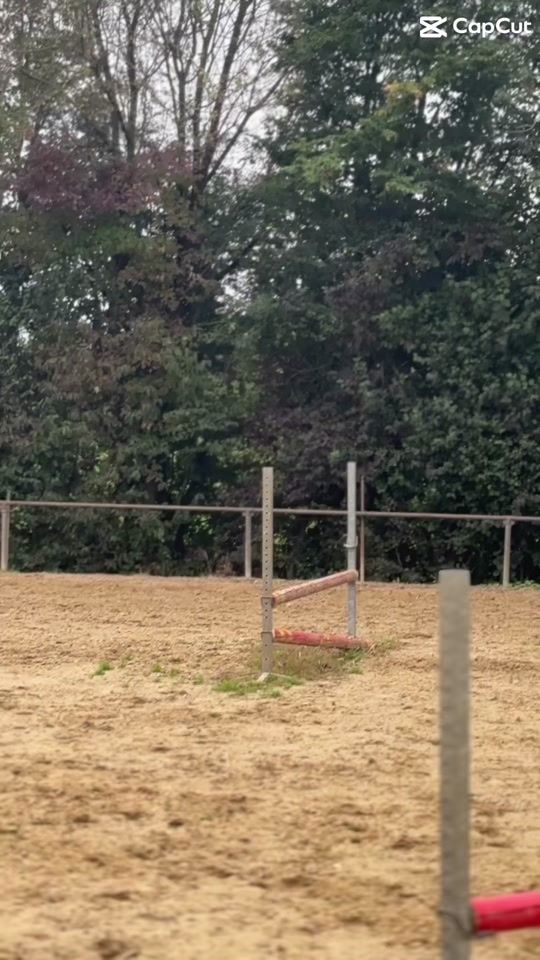 TikTok video thumbnail by equestrian_.jojo
