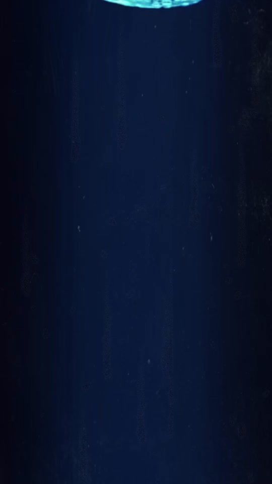 TikTok video thumbnail by orhideja12312